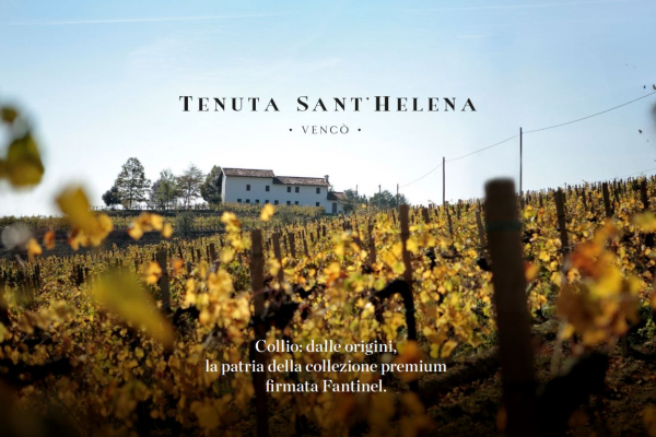 La nuova immagine dei vini Tenuta Sant'Helena